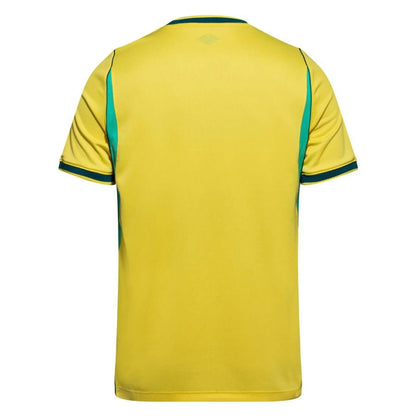 Camiseta 1ª y 2ª equipación Brasil